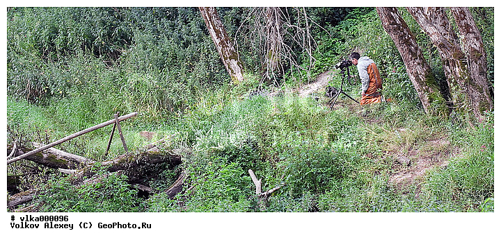 �����, �������, ����, �������, ������� ������, ����, �����, ��������������, ��������, �������