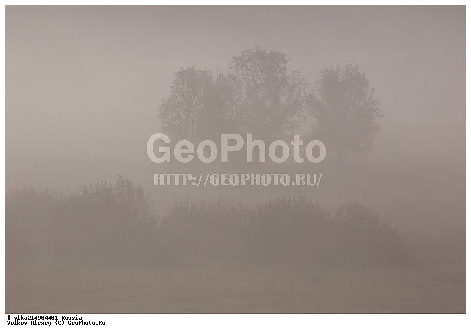 �����, ������, ������