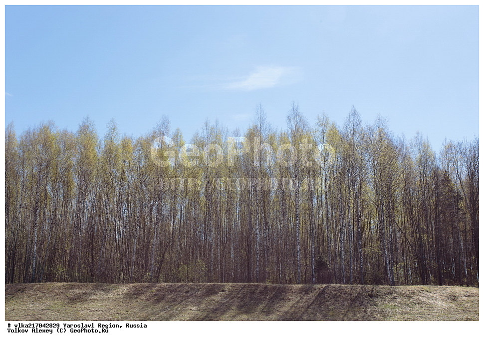  ������ ������, ������, �������� �����, ������������ ���� �������� �����, ����������� �������, ����������� ������, ����������� ����������� �����, ������