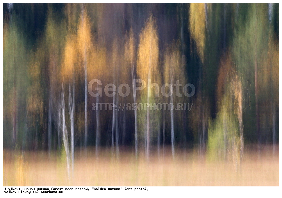 ������� �����, �����������, ������� ���, ��������, ����� ����