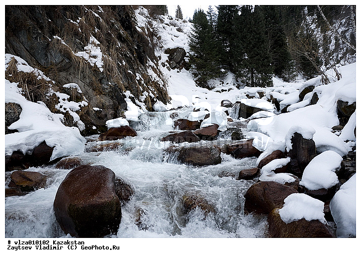 �������������, ������������� ������, ���������, ������