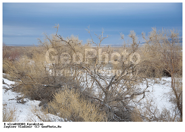 ���������, ������� ����, ����