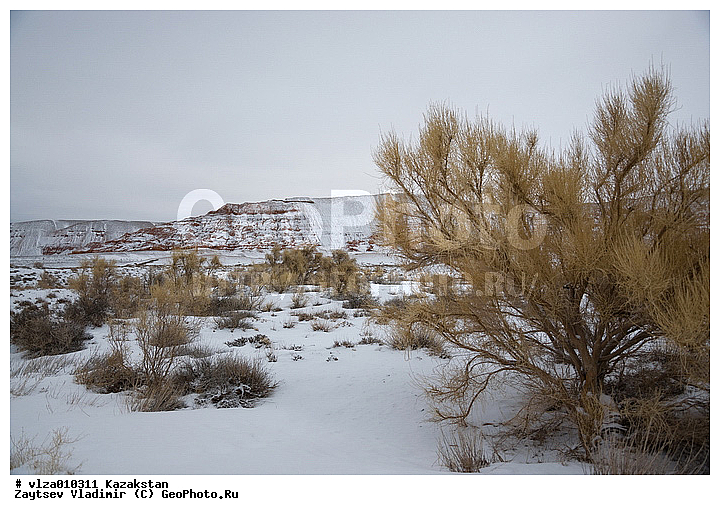 ���������, ������� ����, ����