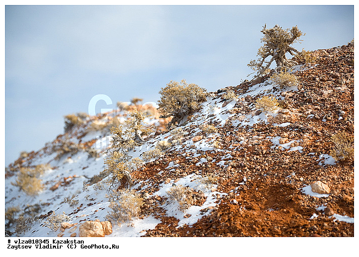 ���������, ������� ����, ����