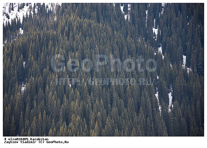 ���������, �����