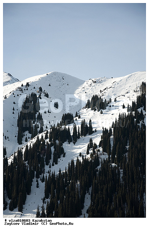 ���������, ��������