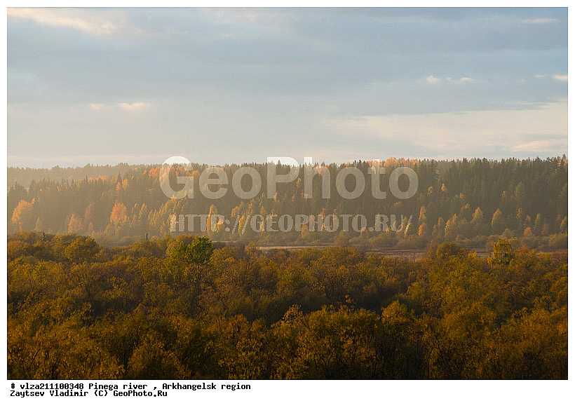 ������������� �������, ���������, ������, �����, ��������, �������, �����, ���, ������, ����, �����