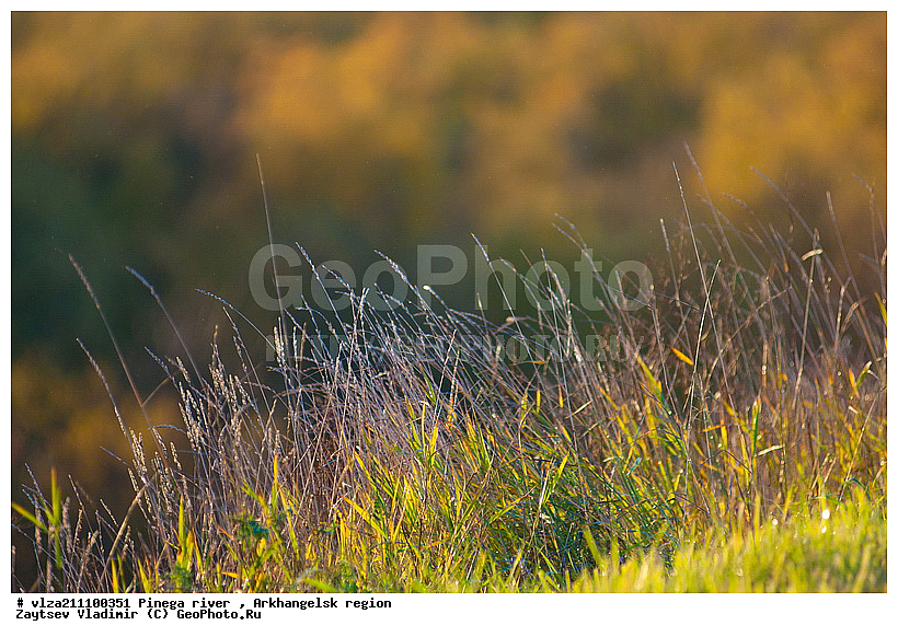 ������������� �������, ���������, ������, ������, �����, ���, �����, ����, �����