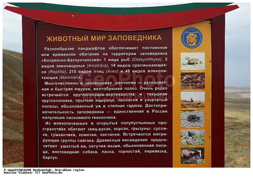  ���������. ������������ �������, ����� ���������, ���� �����, ���������-������������� ����������