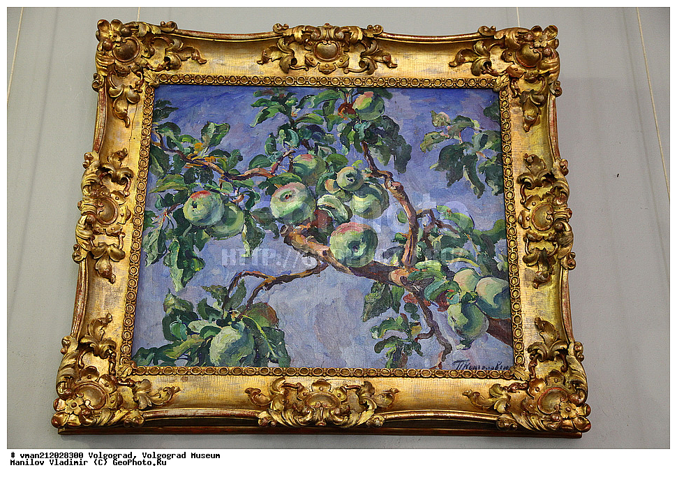  ���������, ����� ����������