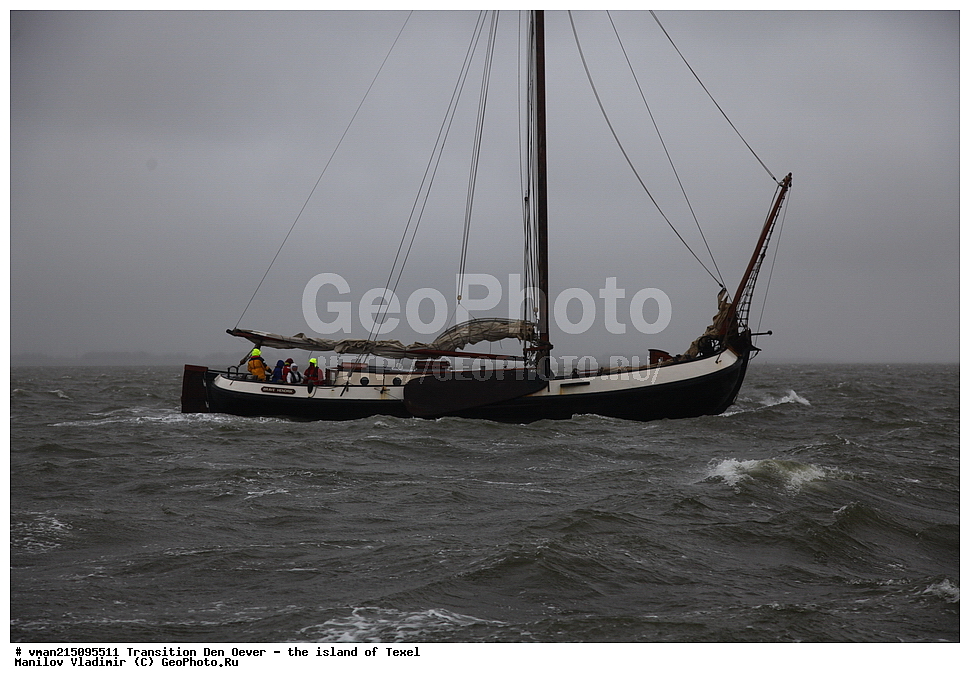  ���������, �������, ��� ����, ������, ������