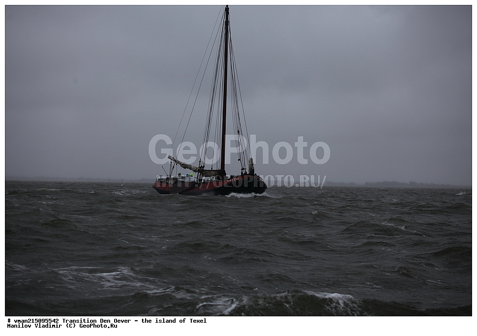  ���������, �������, ��� ����, ������, ������