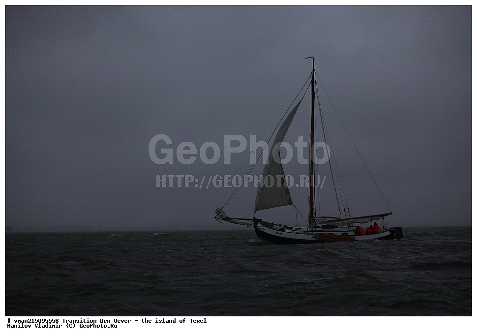  ���������, �������, ��� ����, ������, ������