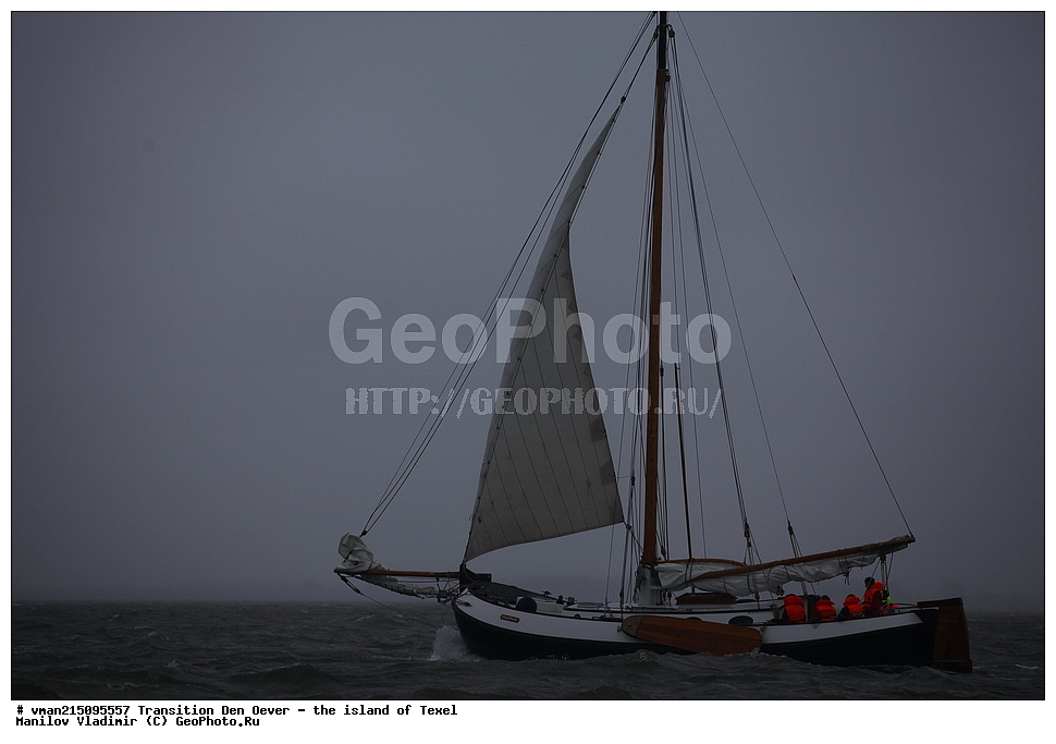  ���������, �������, ��� ����, ������, ������