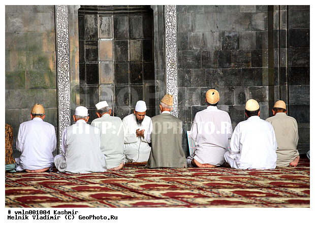 �������, �����, ������, ��������, ����, �����, ������, �������, �����, �����������, ����������, �������, �������