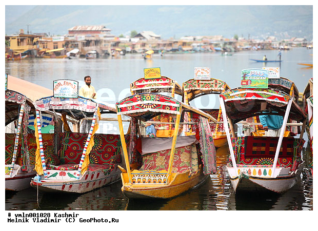 �����, ������, ��������, �����, ����� ���, ���������, ��������, ������