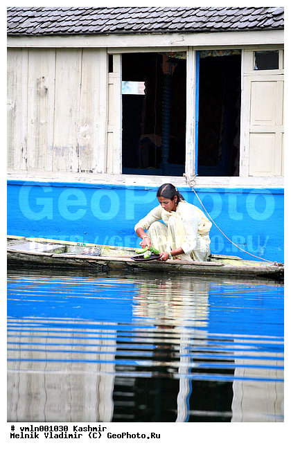 �����, ������, ��������, ����, �������, �����, ����� ���, ���������, ��������, ������