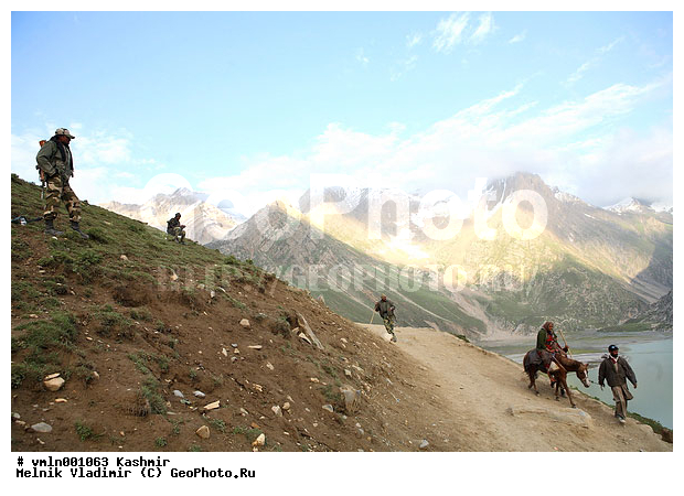 �������, �����, ������, ������������, �����, ����, ������, ��������, ������, �������, ������, �����, ��������, �������������, ����, ����������, ����, ������, ��������, ��������, �������������, �������������, �����, �����, XYZ, ���������, Equidae, �������� ������, Equus ferus caballus