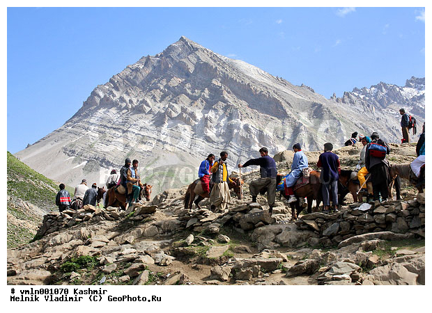 �������, ������, ����, �����������, �������, ����, ������, �������, �����, ������, ������, ����, ��������, �������������, ����, �������, �����, ��������� ������ �������, ���������, �����, ��������, �����, ������, ��������, ��������, �������������, �������������, �����, �����, XYZ, ���������, Equidae, �������� ������, Equus ferus caballus