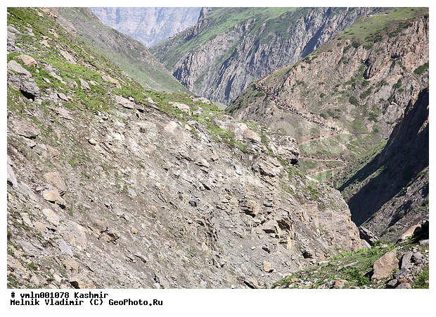 �������, ������, ����, ����, ������, �����, �������, �����, ����, ��������, �������������, ����, �������, �����, ��������� ������ �������, ���������, �����, ������