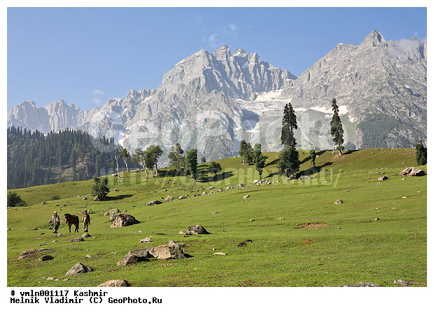 �������, �����, ������, ���������� ���, ����, ����, ������, ��������, ������, �������, ��������, ��������, �������������, �������������, �����, �����, XYZ, ���������, Equidae, �������� ������, Equus ferus caballus