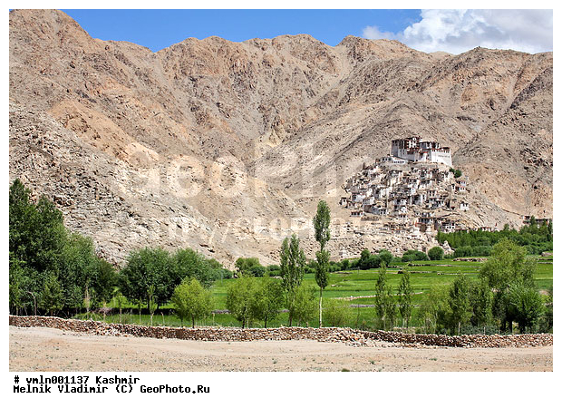 ����, �������, �������, �������� �����, �����, ������, ������, ����������, ����, ��������, ����, ������, ������, �������, ���������, �����, �������������, ���������, ������