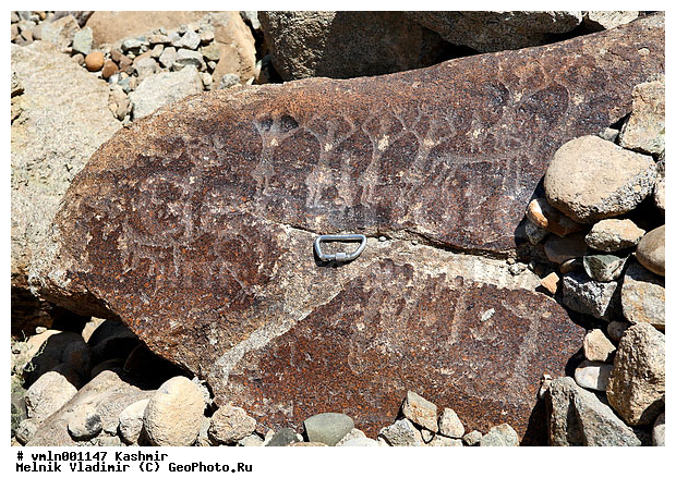 �������, �����, ������, ������, ������� ���������, ���������� ��������, ���������