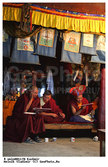 ����, �������, �������, �������� �����, �����, ������, ������, ����������, ����, �����, ������, �������, ���������, �����, ���������, �����