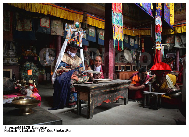 ����, �������, �������, �������� �����, �����, ������, ������, ����������, ����, �����, ����, ������, �������, ���������, �����, ���������, �����