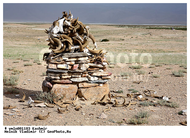 ����, �������, �������, �������� �����, �����, ������, ������, ����������, ����, ��������, ����, ������, ����, ������, �������, ���������, �����