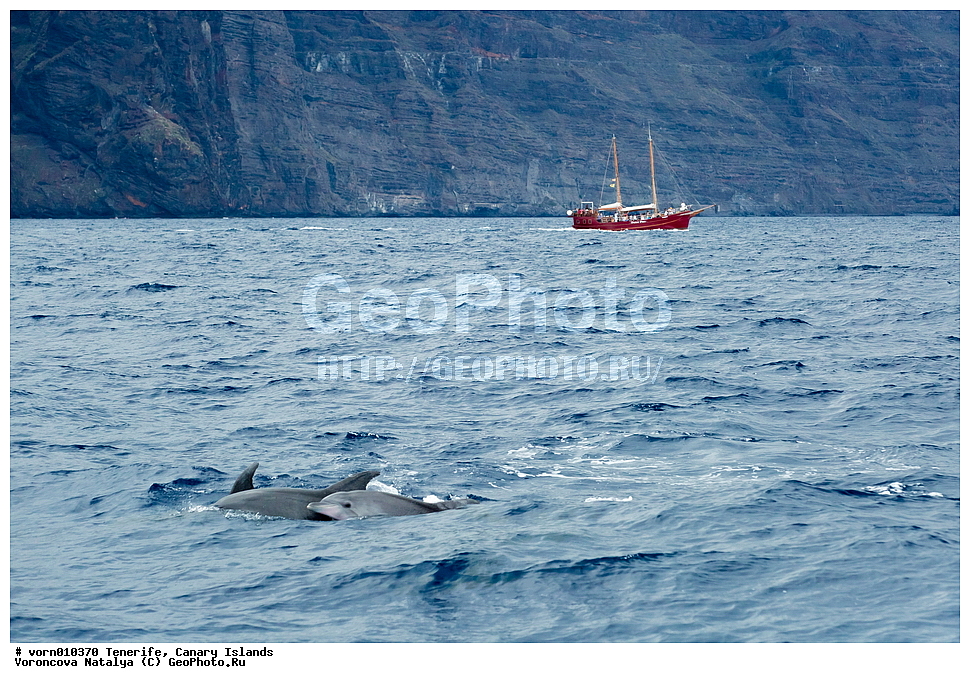 ��������, ��������� �������, ������, ������, ������������� �����, �����, ����, �����, ��������, �������