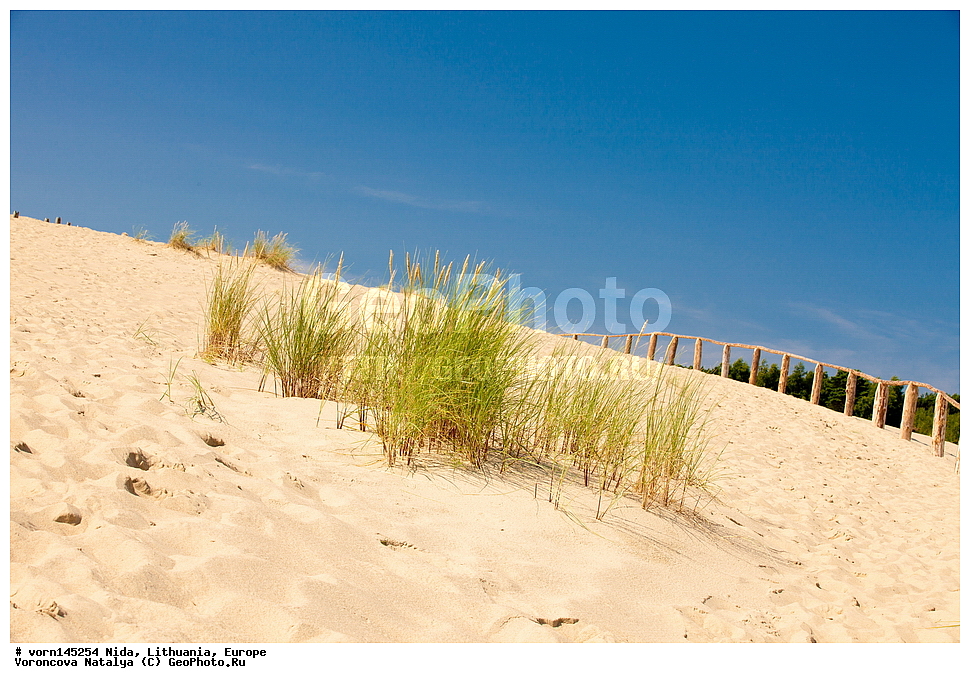 ����, �����, ������, ������, �������� ����, ����, �����