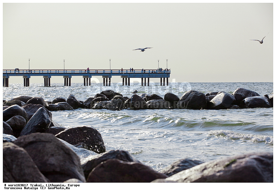 �������, �����, ������, ������, ������, ����, ���������� ���� , ����, ������, �����, ���������