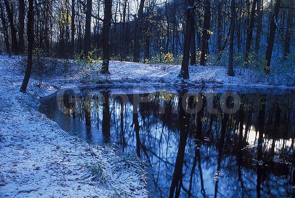 ��������� ����, ����, �������, �����, ������ ����, ����