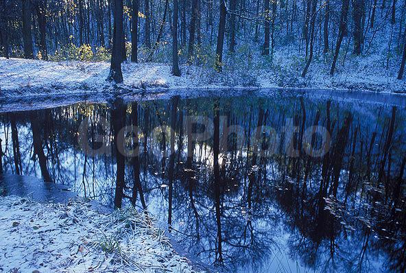 ��������� ����, ����, �������, �����, ������ ����, ����