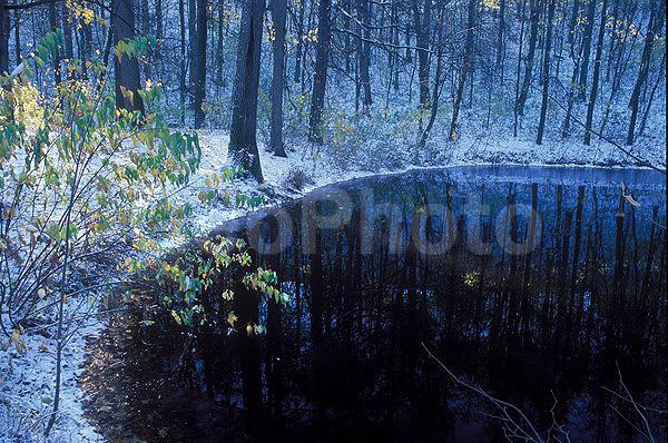 ��������� ����, ����, �������, �����, ������ ����, ����