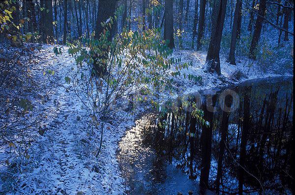 ��������� ����, ����, �������, �����, ������ ����, ����