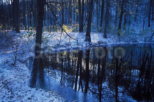 ��������� ����, ����, �������, �����, ������ ����, ����