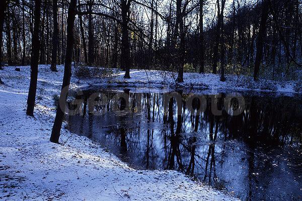 ��������� ����, ����, �������, �����, ������ ����, ����