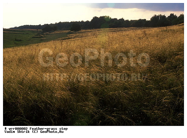 ����������, ���, �����, ������, �����, �����