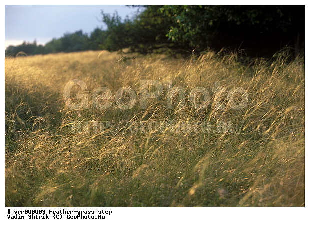 ����������, ���, �����, ������, �����, �����