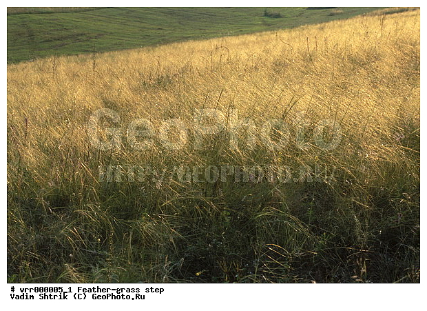 ����������, ���, �����, ������, �����, �����