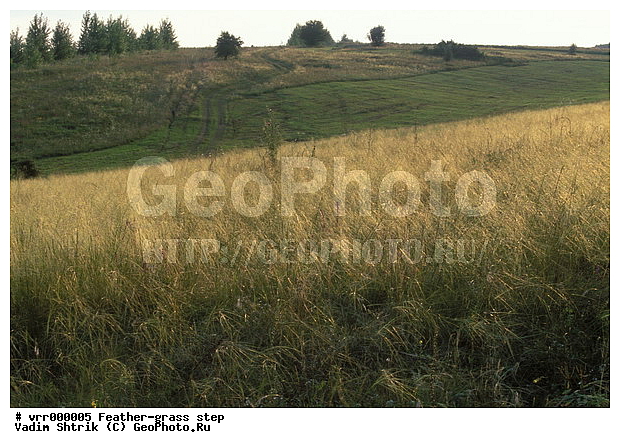 ����������, ���, �����, ������, �����, �����