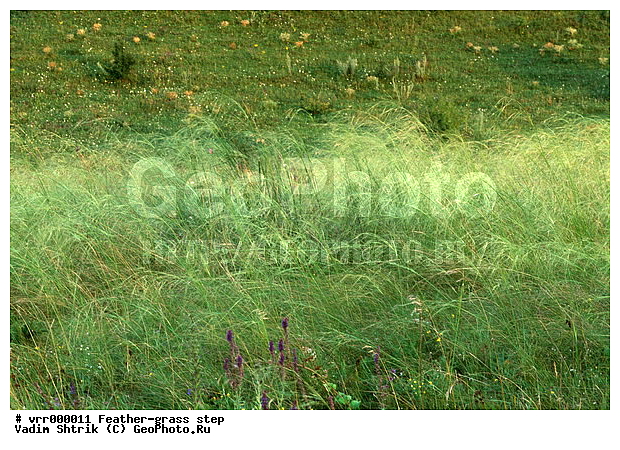 ����������, ���, �����, ������, �����, �����