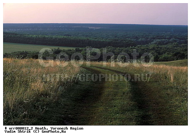 c������ ���������, ����������, �����, ������, �����, �����