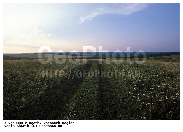 c������ ���������, ����������, �����, ������, �����, �����