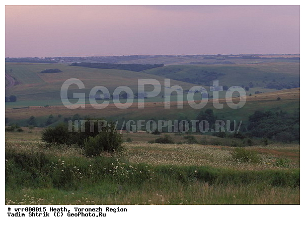 c������ ���������, ����������, �����, ������, �����, �����