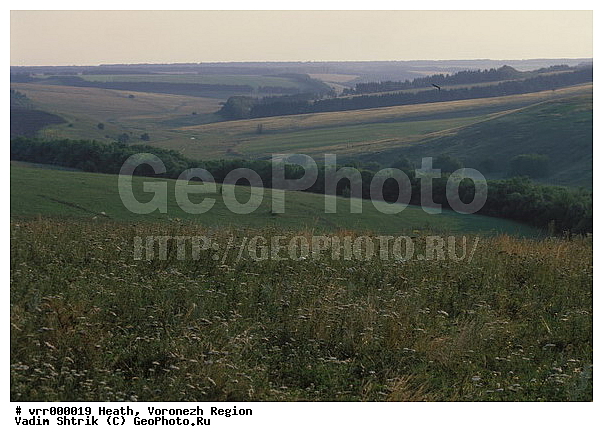 c������ ���������, ����������, �����, ������, �����, �����