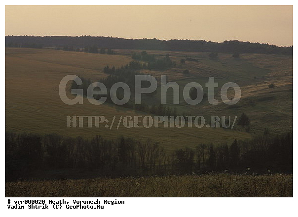 c������ ���������, ����������, �����, ������, �����, �����