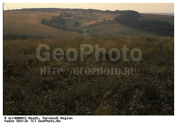 c������ ���������, ����������, �����, ������, �����, �����